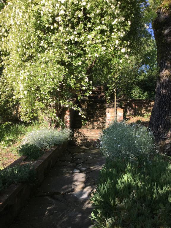 Apartamento La Berchiera Ciggiano Exterior foto